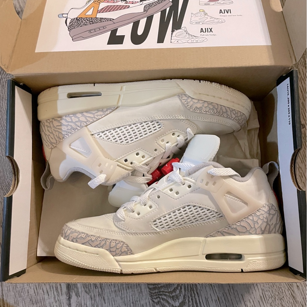 •~Jordan Spizike Low~•